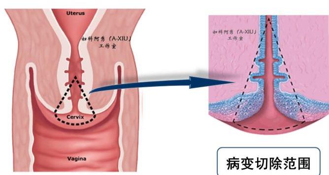 圖片3.jpg 圖片3.jpg