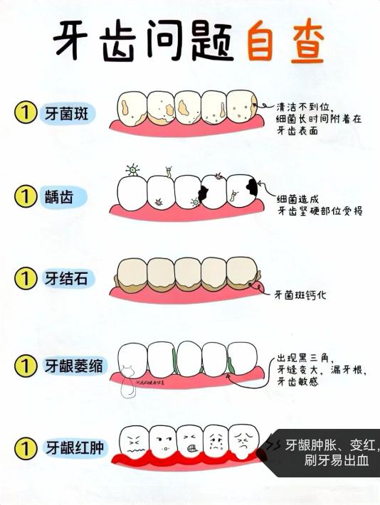 圖片1.jpg